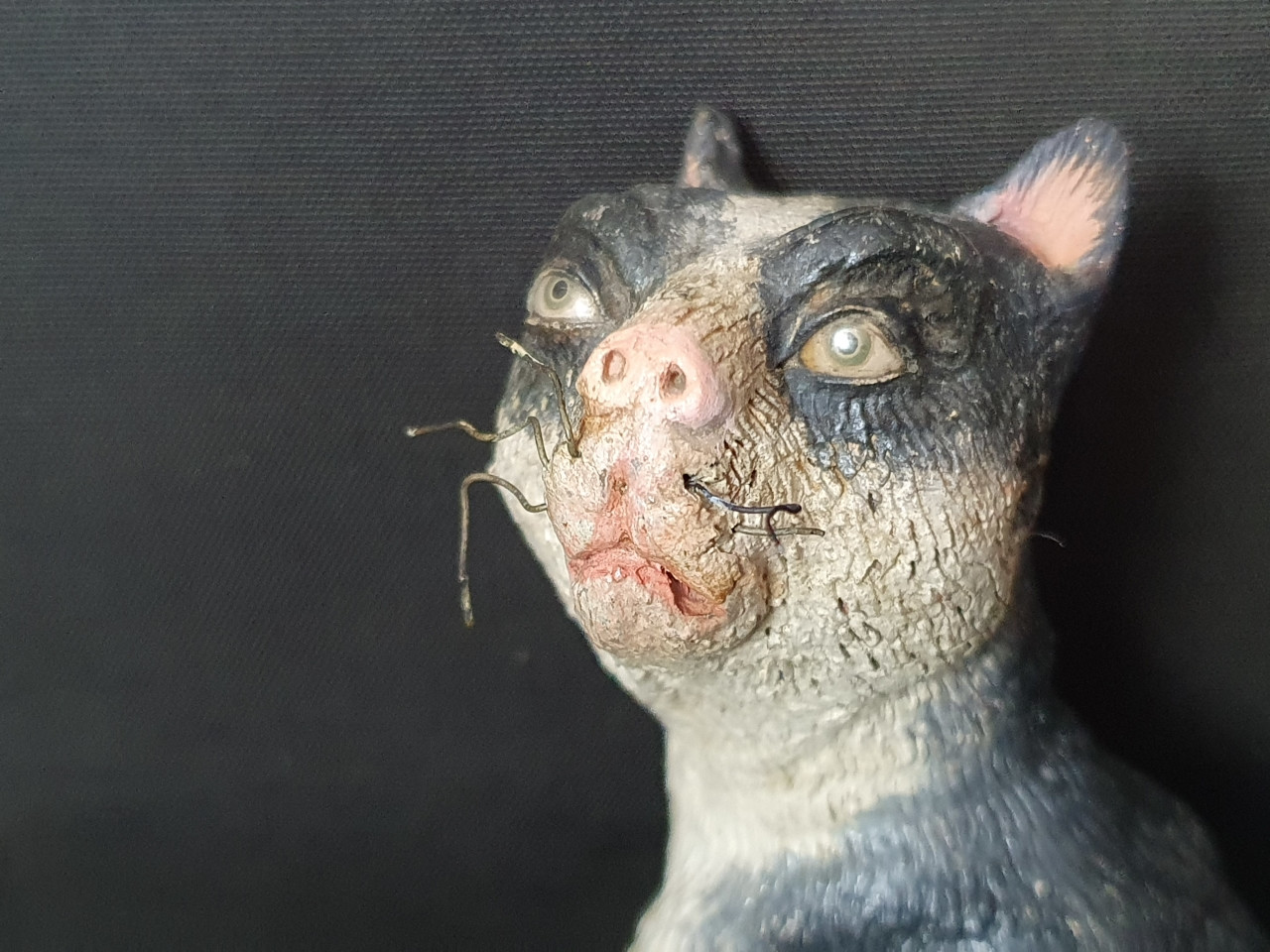 gatto-animale-da-presepe del 700 - Antichità Ioviero